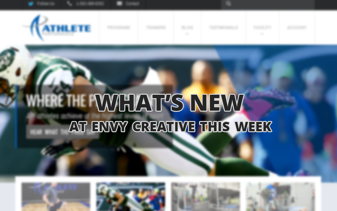 Update: What’s been happening at Envy Creative