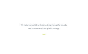 Envy Brand Style Guide Page 11